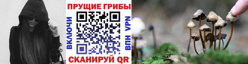 Псилоцибиновые грибы ЛСД  закладка  Чебоксары 