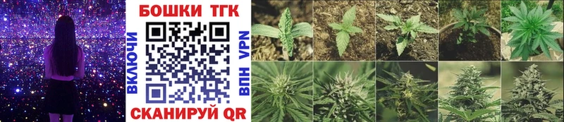 Канабис SATIVA & INDICA  как найти закладки  Чебоксары 